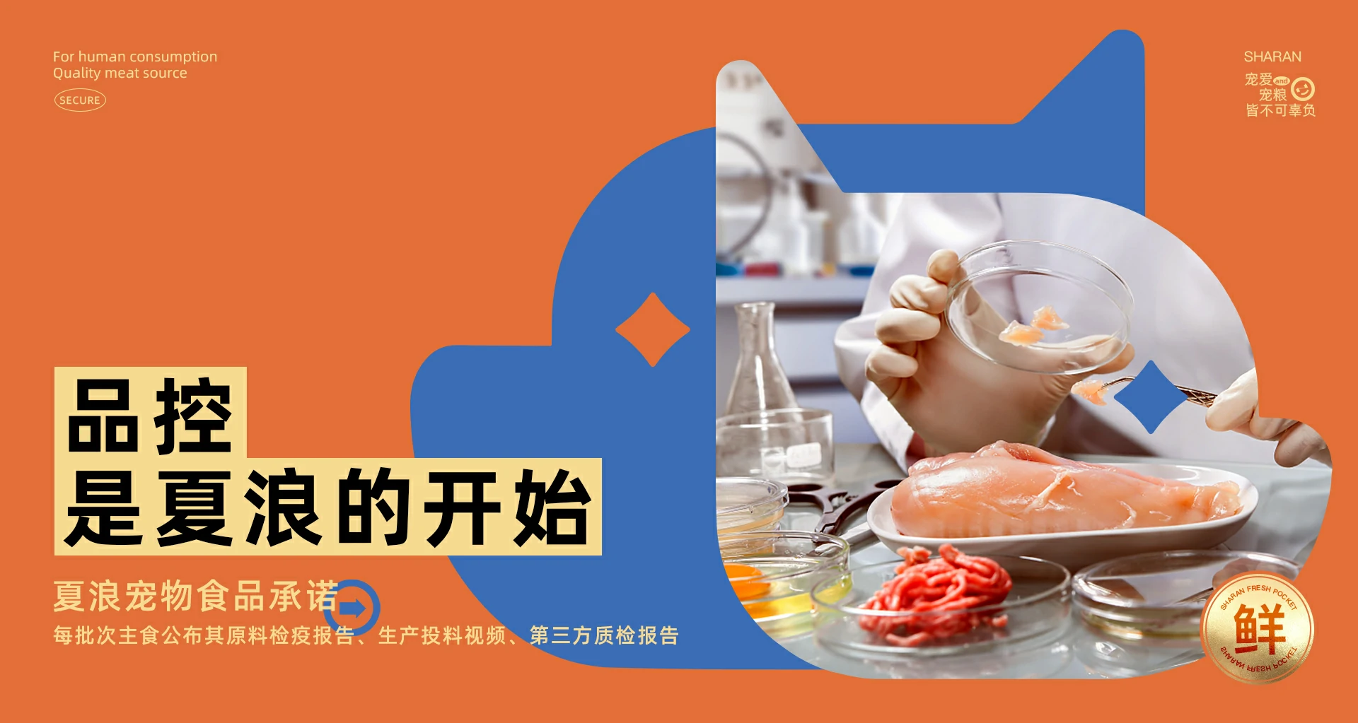 背景顶部图片